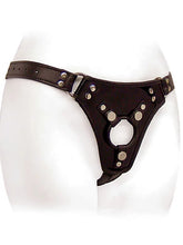 Load image into Gallery viewer, Low Rider Harness