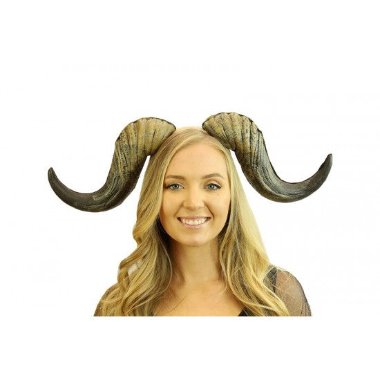 KBW PU9023 Horns