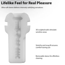 Load image into Gallery viewer, Robin
