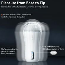 Load image into Gallery viewer, Robin
